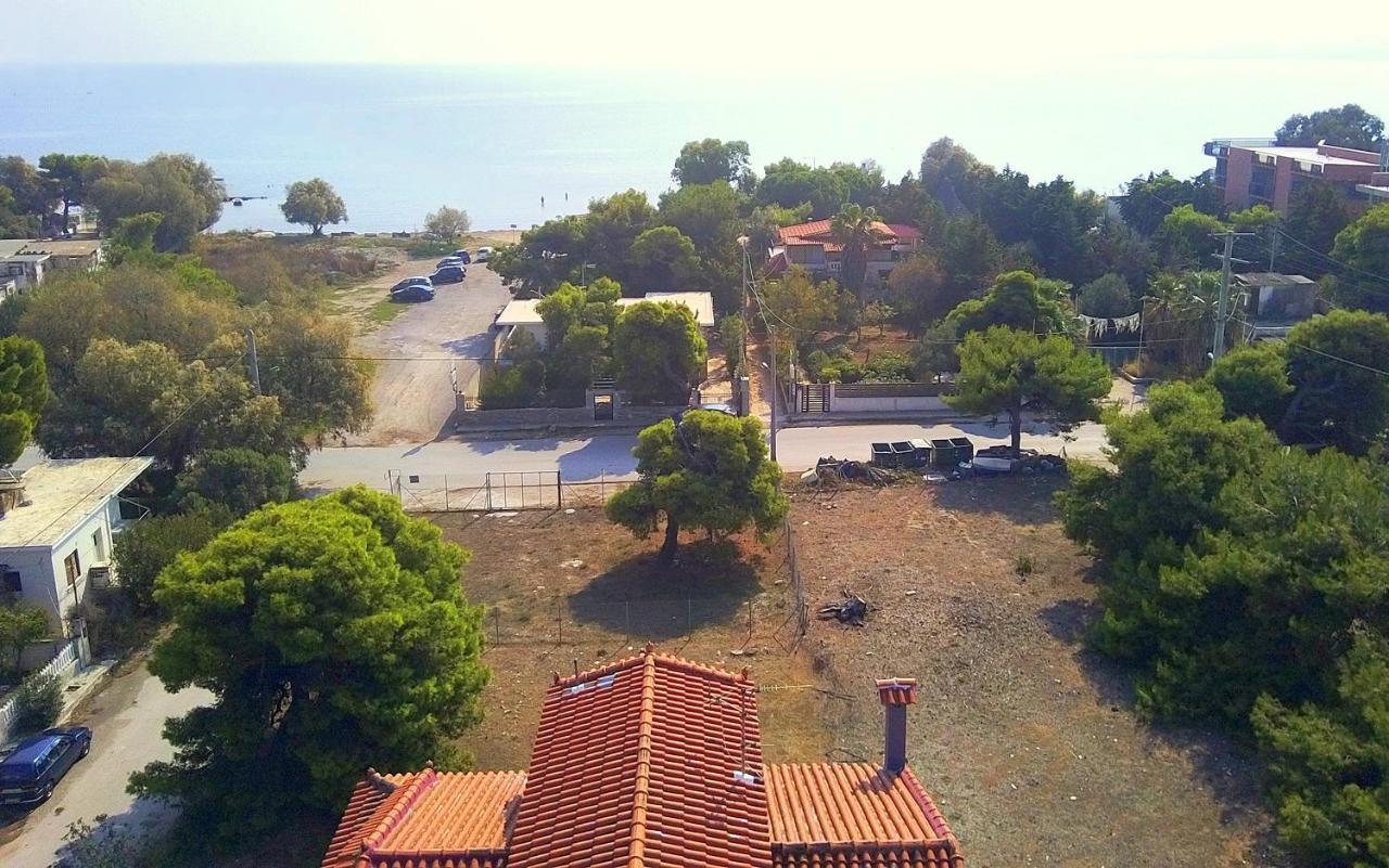 Augoustinos - Sea Side Luxury Apartments Луца Экстерьер фото